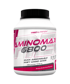 Аминокислотный комплекс Trec Nutrition Amino Max 6800 450 капсул
